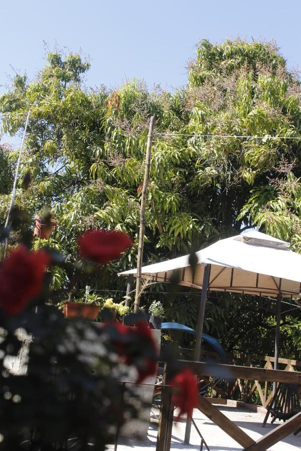 Bed and Breakfast La Casa Del Jardin Tuxtla Gutiérrez Zimmer foto